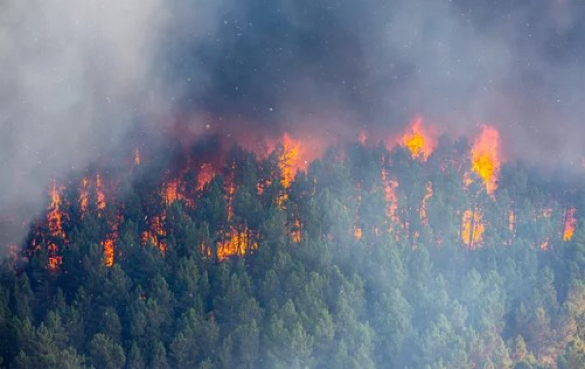 Troppi incendi in Toscana nel 2022