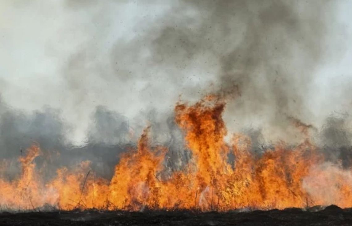 Siccità in Italia, il rischio incendi aumenta