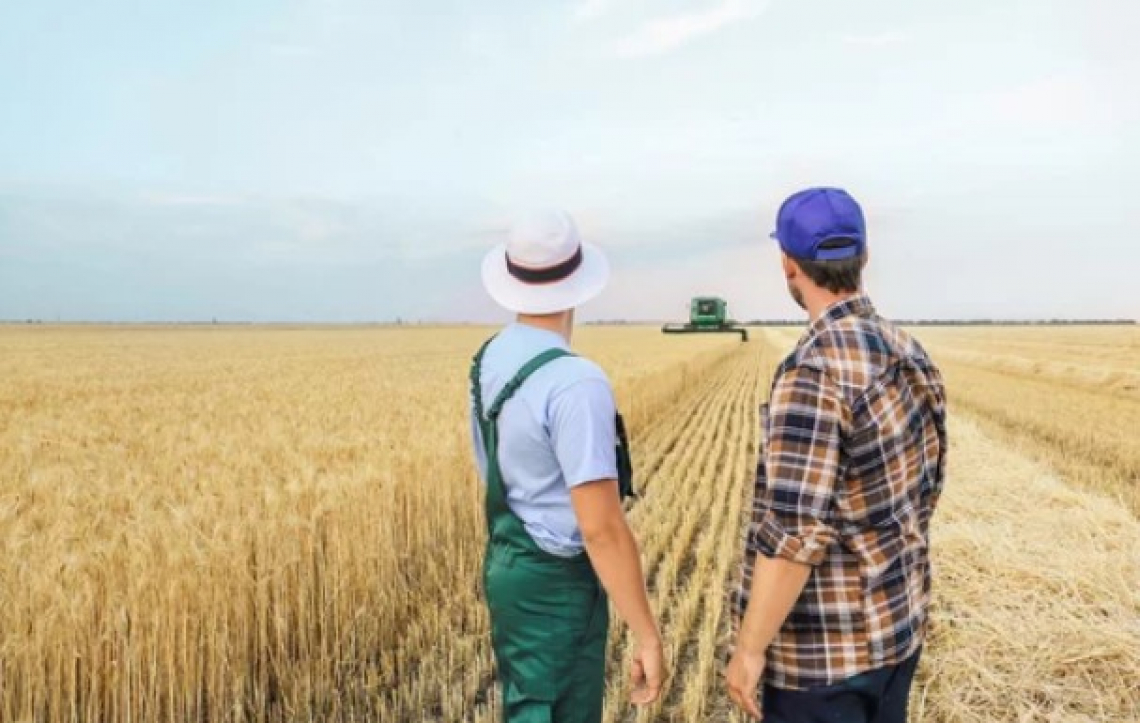 Per la Puglia agricola servono misure straordinarie