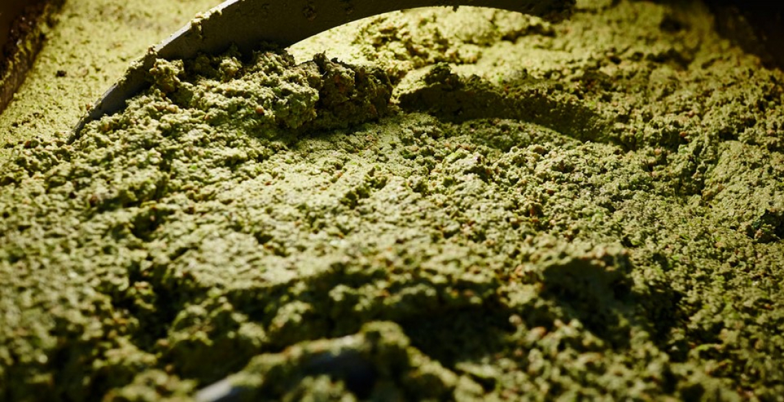 Frangitore a martelli e a dischi: le differenze sulla qualità dell’olio d’oliva