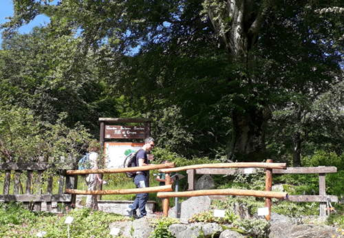 Giardino Botanico di Oropa, ferragosto nella Natura e per la Natura