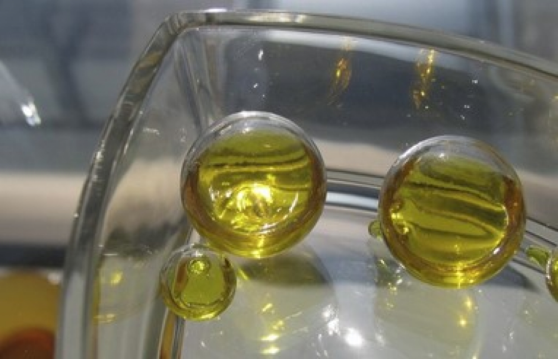 Buone previsioni per la produzione di olio di oliva in Marocco