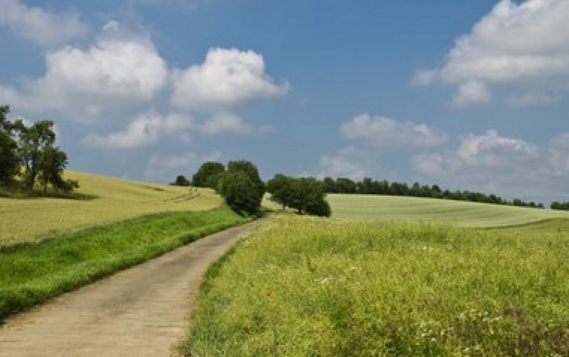 Il prezzo dei terreni agricoli torna a salire