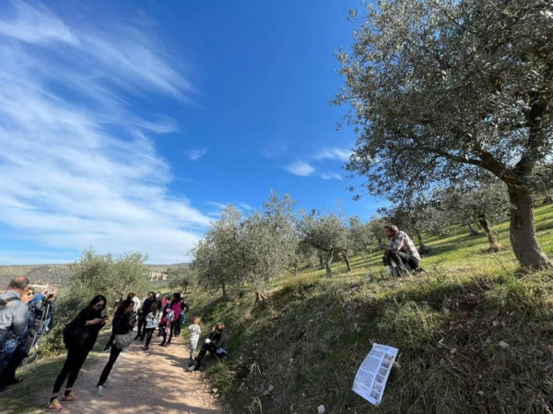 Frantoi Aperti in Umbria: dal 29 ottobre al 27 novembre