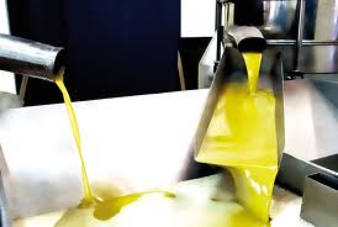 La giusta regolazione dell’alimentazione del decanter per ottenere qualità e quantità