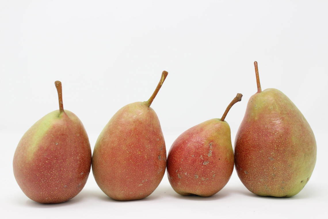 La pera nobile è un nuovo Presidio Slow Food