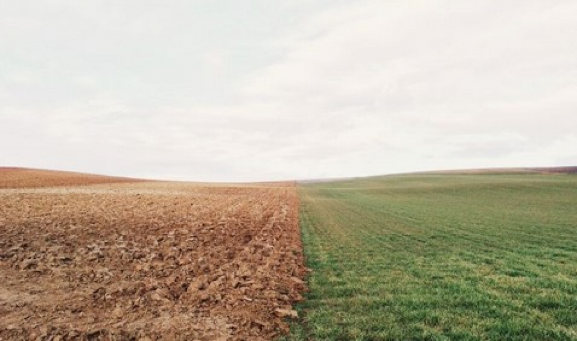 Cambiare i piani di concimazione per salvaguardare la reditività degli agricoltori