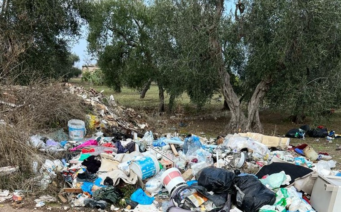 Troppa immondizia negli oliveti pugliesi