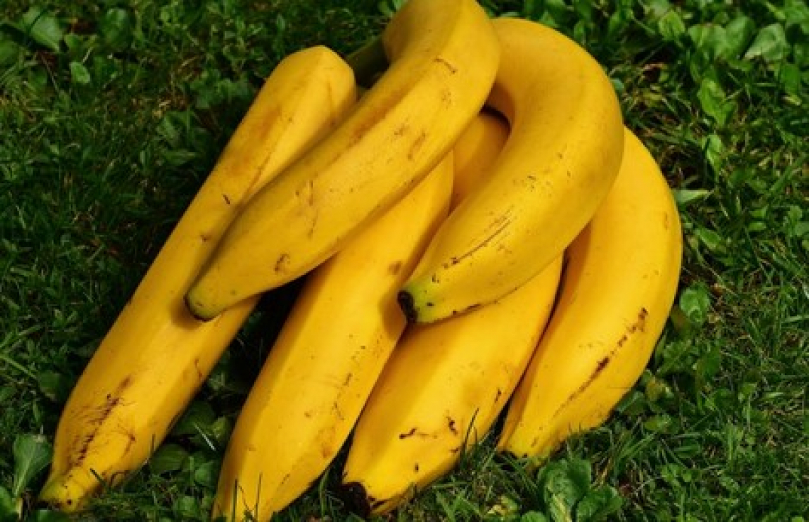 Neanche le banane italiane salvaguardano il reddito degli agricoltori