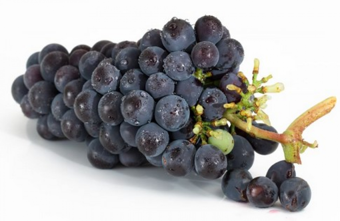 Il metodo tradizionale della messa a riposo delle uve in Valpolicella candidato a patrimonio immateriale dell’Unesco