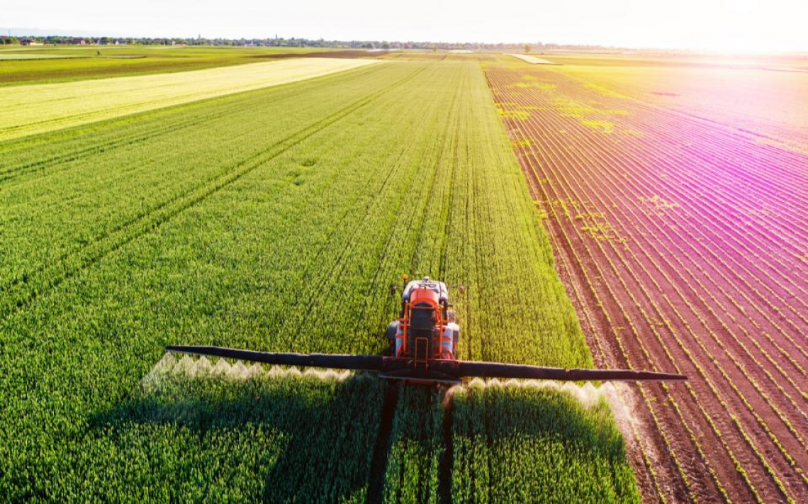 Utilizzare l'automazione per incrementare la produzione agroalimentare