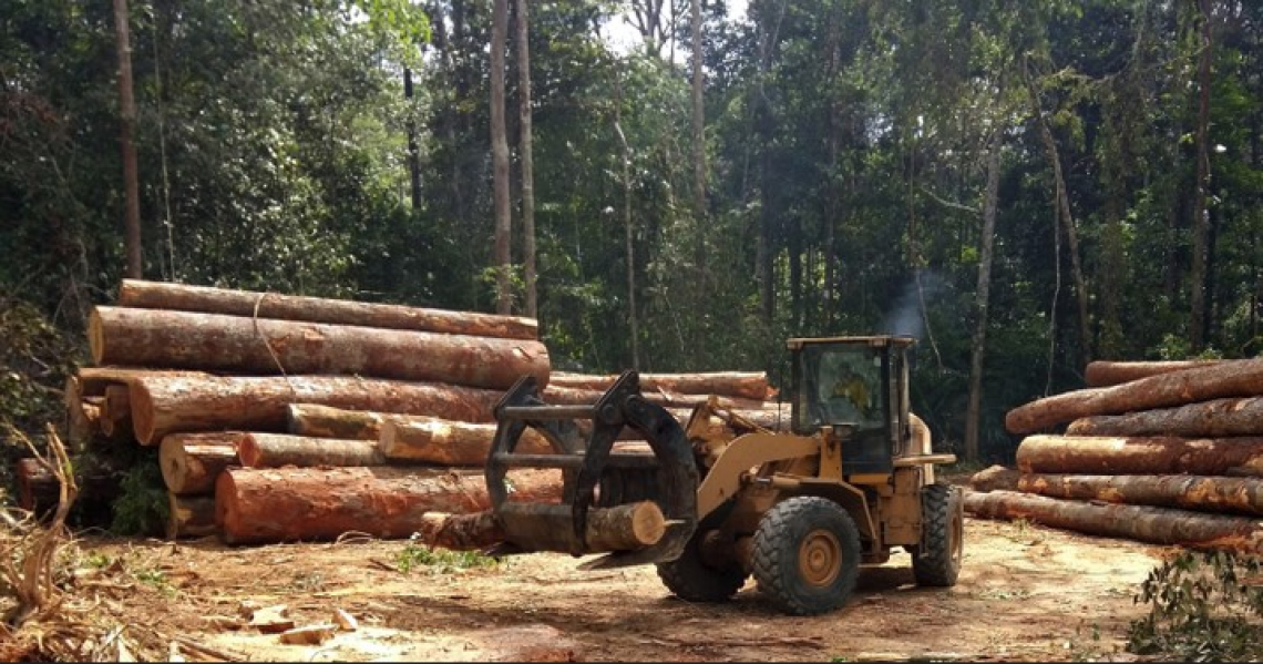 Eliminare le biomasse legnose dalle rinnovabili
