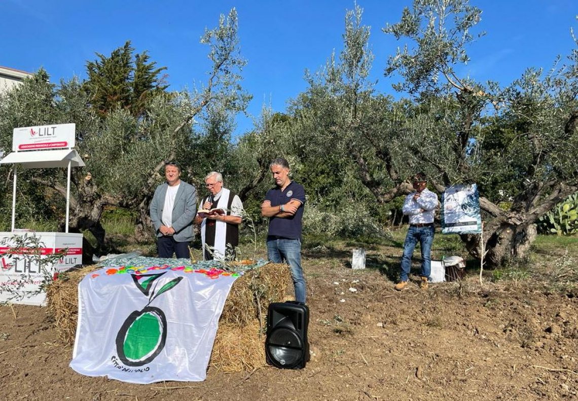 Nasce il primo Parco degli Olivi dedicato alla biodiversità
