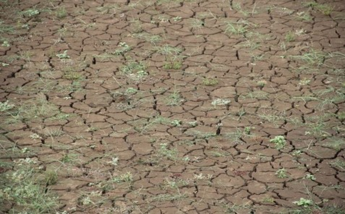 I cambiamenti climatici mettono a rischio la dieta mediterranea