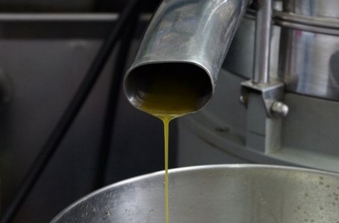 Le differenze qualitative tra gli oli extra vergini di oliva estratti a 25 e 35°C