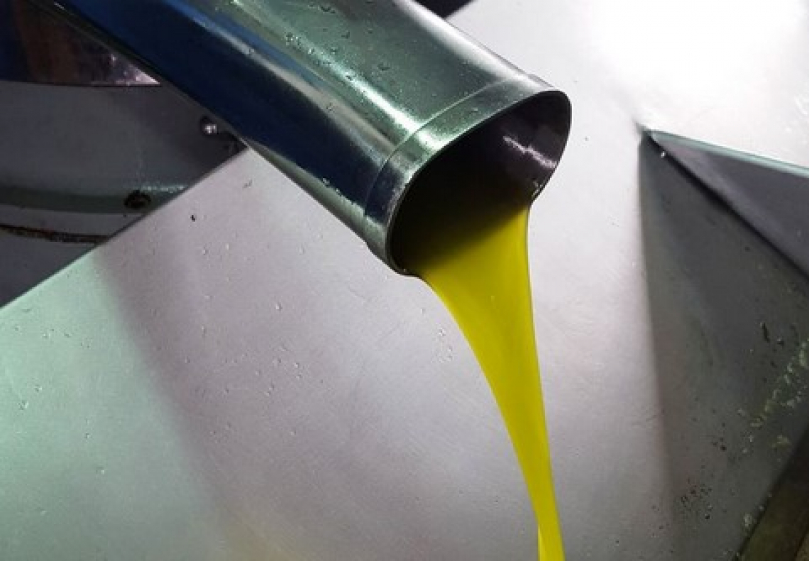 L’effetto di diversi tipi di frangitore sui composti fenoli e volatili dell’olio extra vergine di oliva