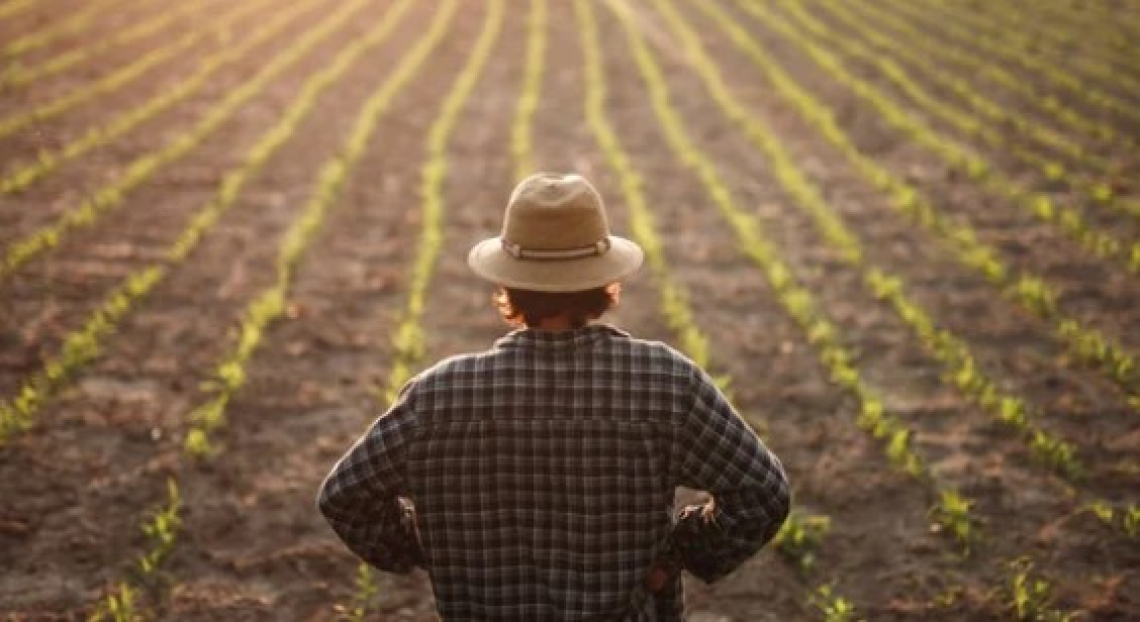 Ancora in calo i prezzi alimentari mondiali