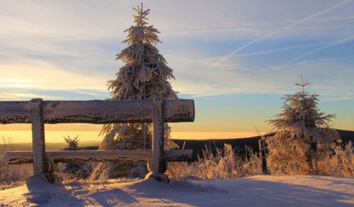 Neve e gelo mettono in ginocchio l'agricoltura italiana