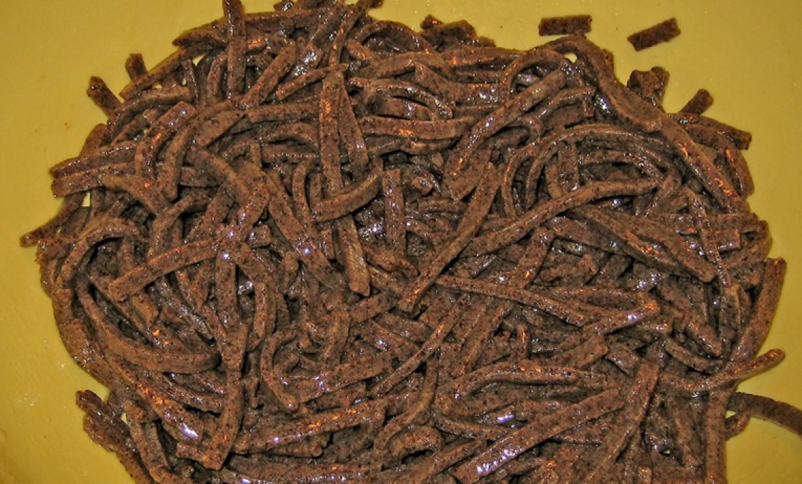 I limiti commerciali alle farine di insetti in Italia