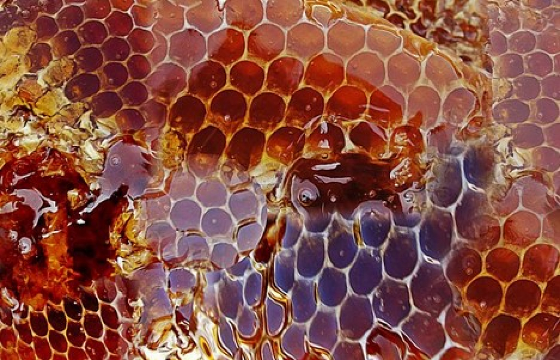 Metà del miele importato in Europa è una frode