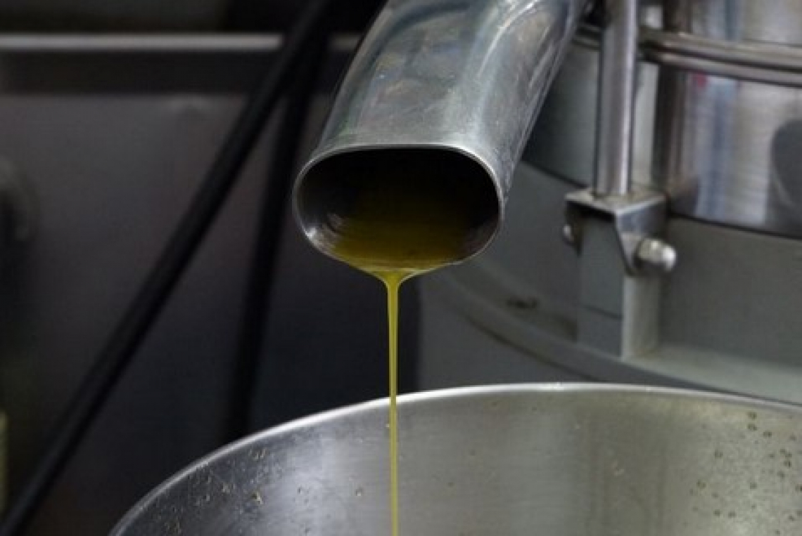 Prezzi e maltempo mettono a rischio l’olio di oliva negli Stati Uniti