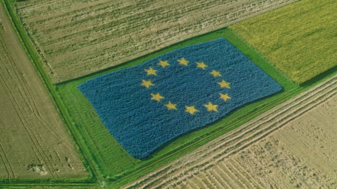 Stop alla riduzione dei fitofarmaci: il Parlamento boccia la Commissione europea