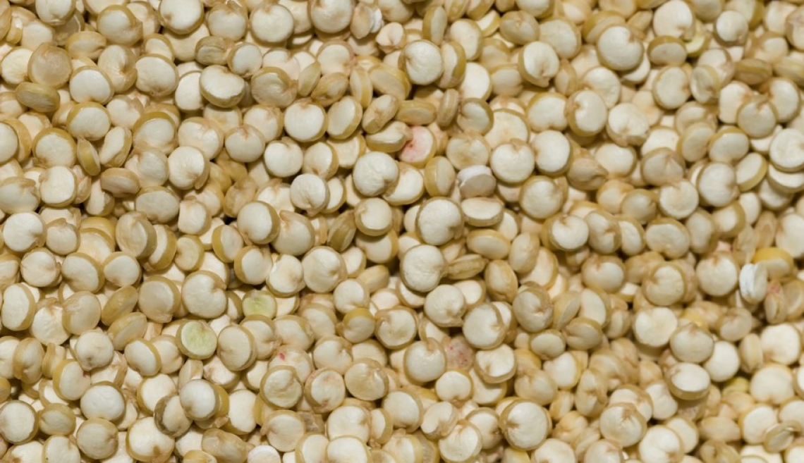 La nuova quinoa italiana entra nel mercato degli pseudocereali