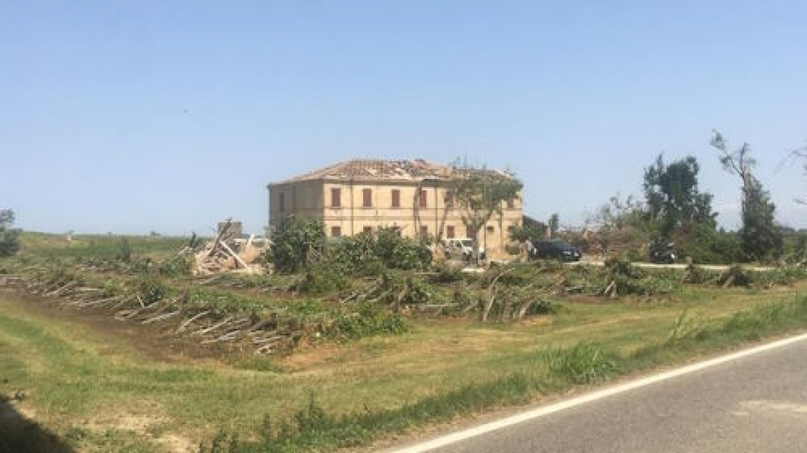 Nuova conta dei danni in agricoltura per l'Emilia Romagna