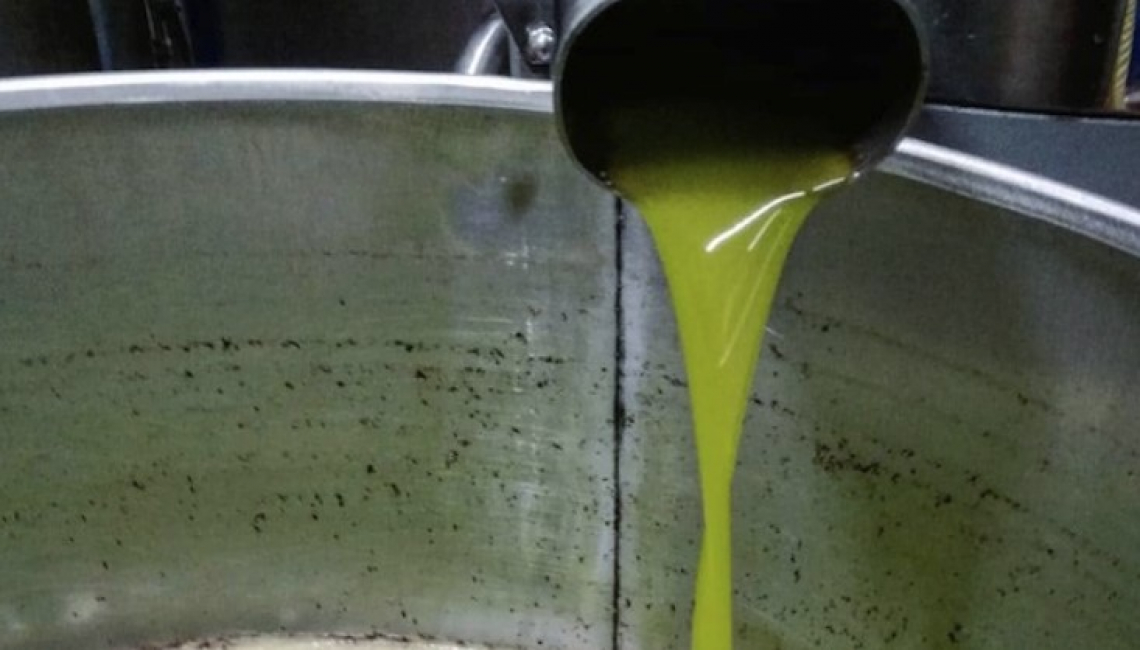Tenere alti i prezzi delle olive dell'olio extra vergine di oliva