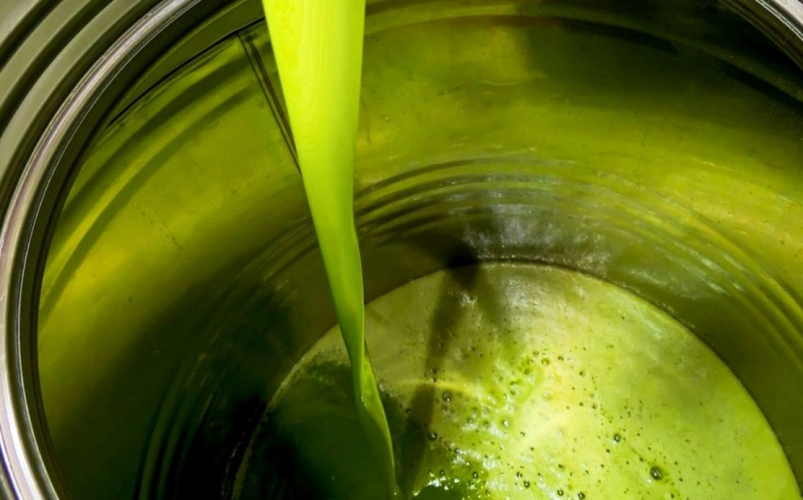 L’Andalusia produrrà solo 550 mila tonnellate di olio d’oliva