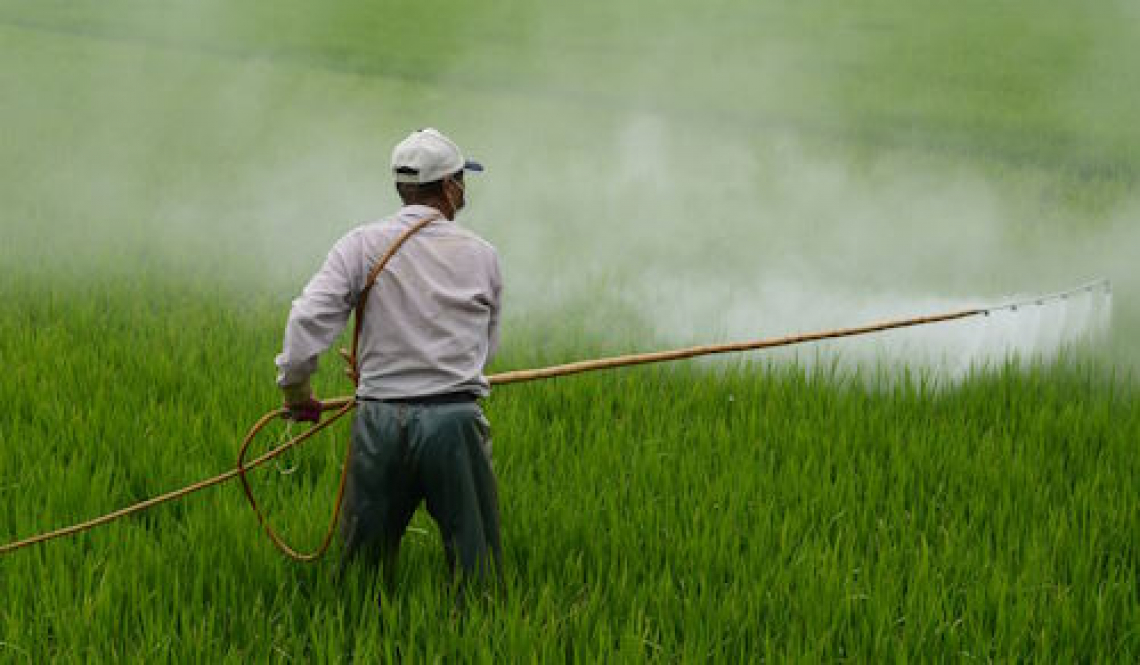Più anni per ridurre i pesticidi nell'agricoltura europea