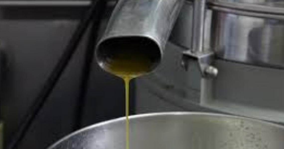 Frantoiani furiosi: a rischio l’unità della filiera olio di oliva in Italia