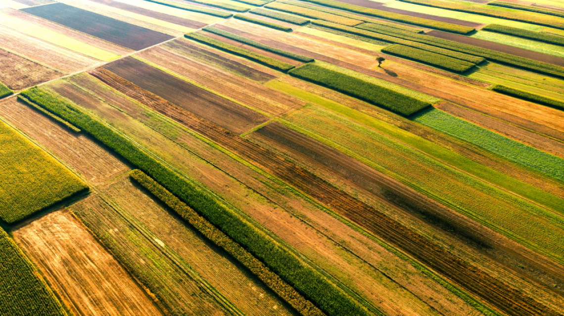 Agricoltura più sostenibile grazie alla ridistribuzione globale dei fertilizzanti azotati