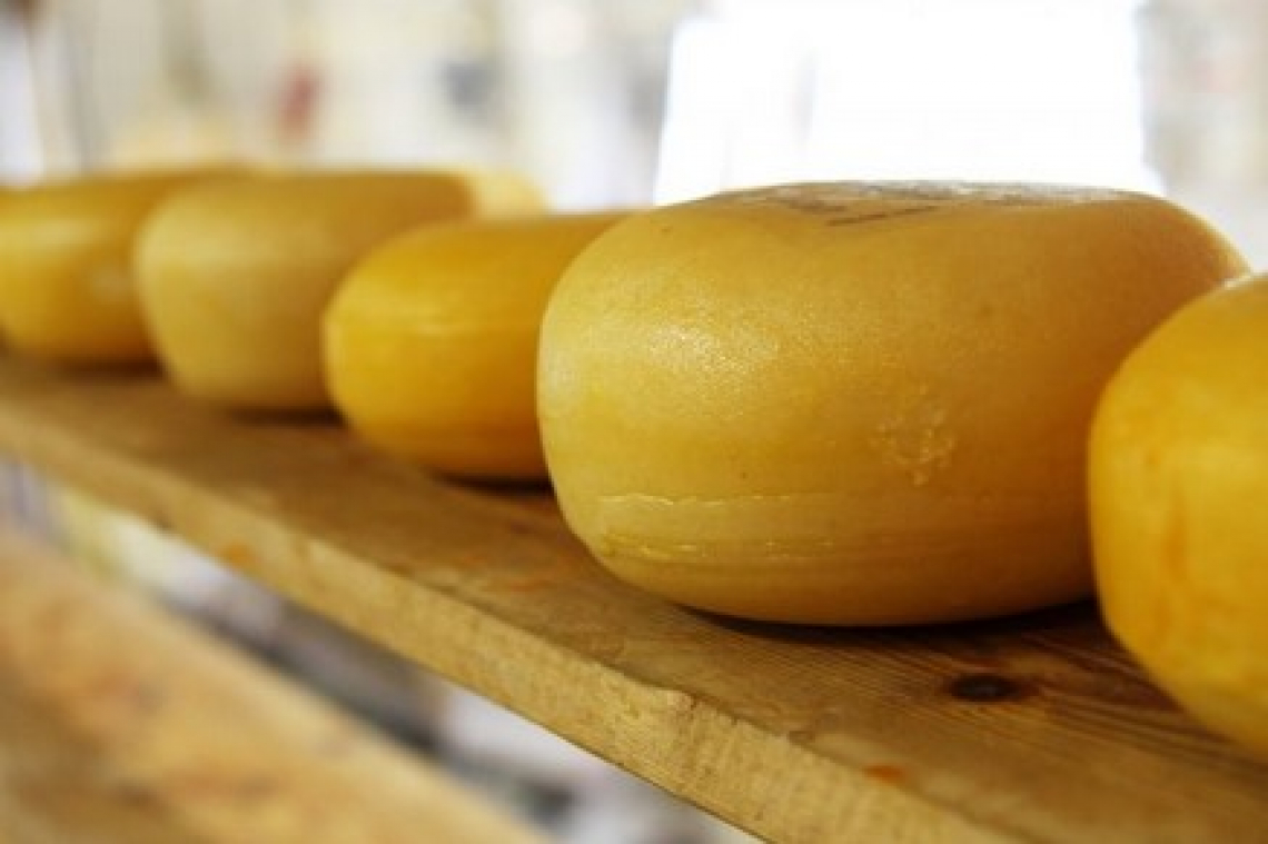 22 premi per la Nazionale italiana formaggi al Worl Cheese Awards