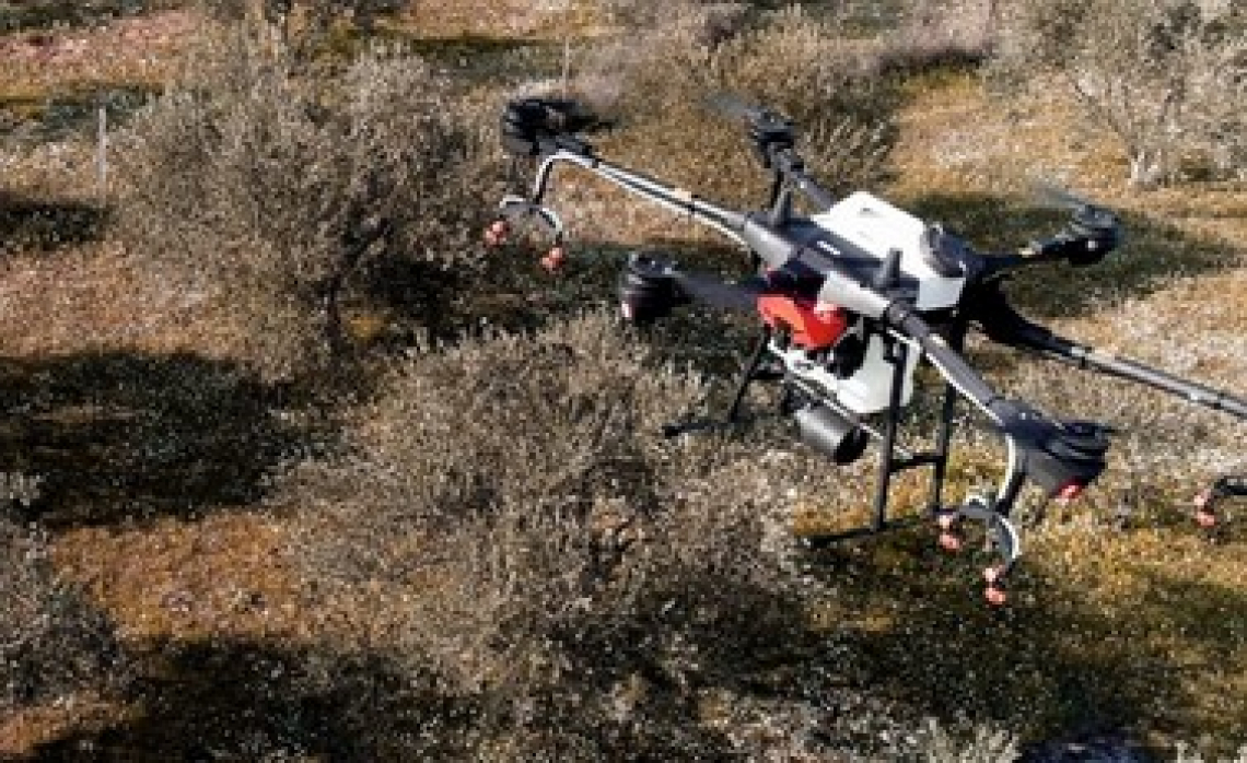 Usare i droni contro la mosca delle olive: analisi dei costi