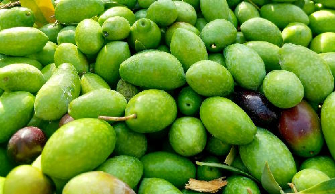 Stabilire l’origine delle olive e i trattamenti eseguiti con una semplice analisi