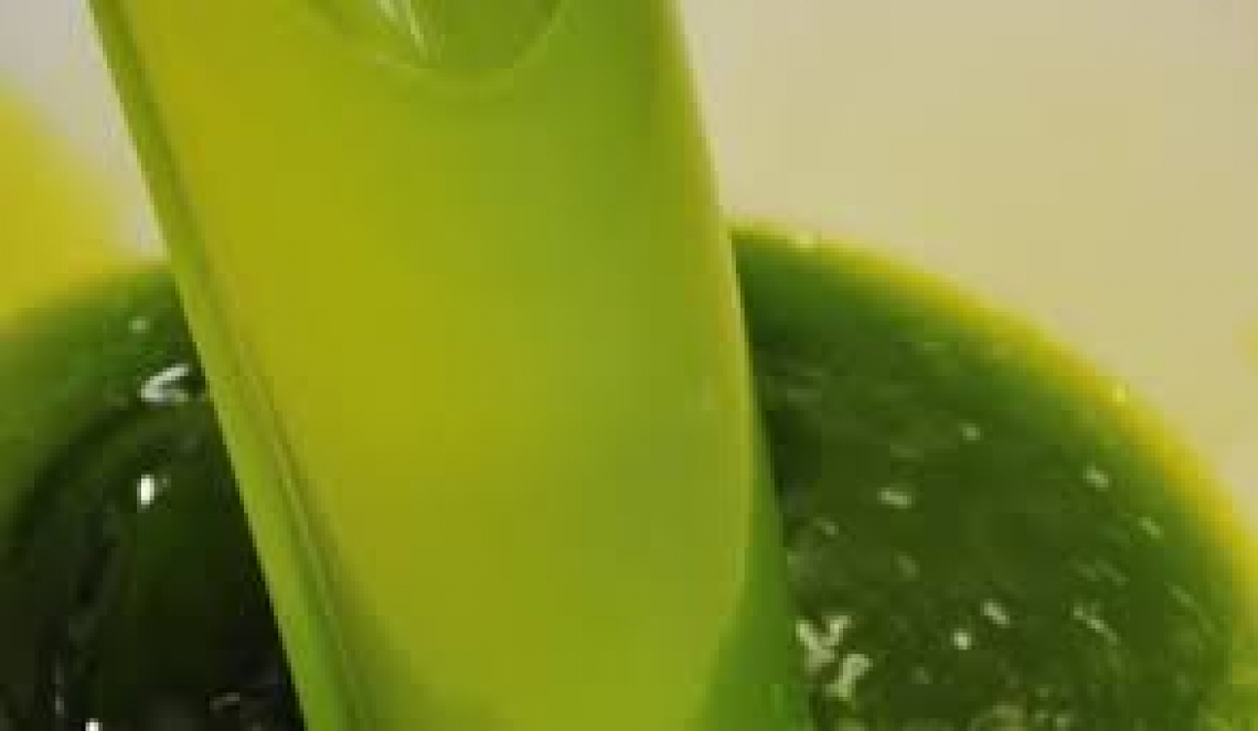 L’importanza nascosta del colore dell’olio extra vergine di oliva