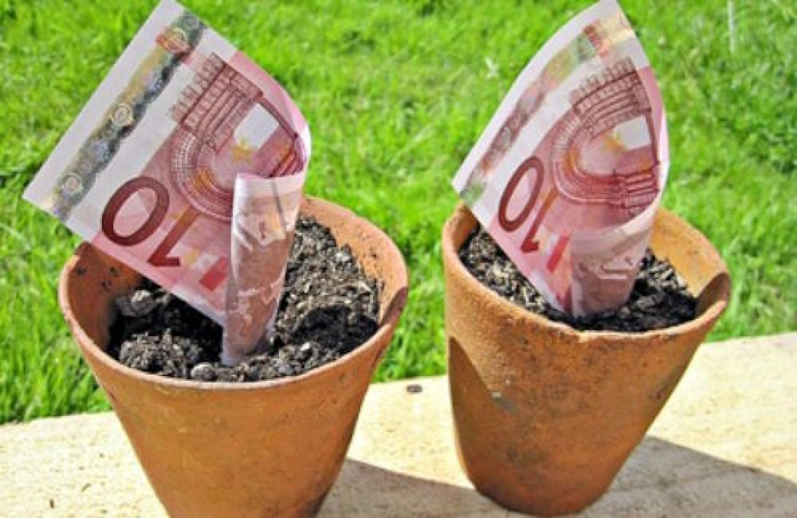Assicurazioni per l'agricoltura: 230 milioni di euro per i debiti