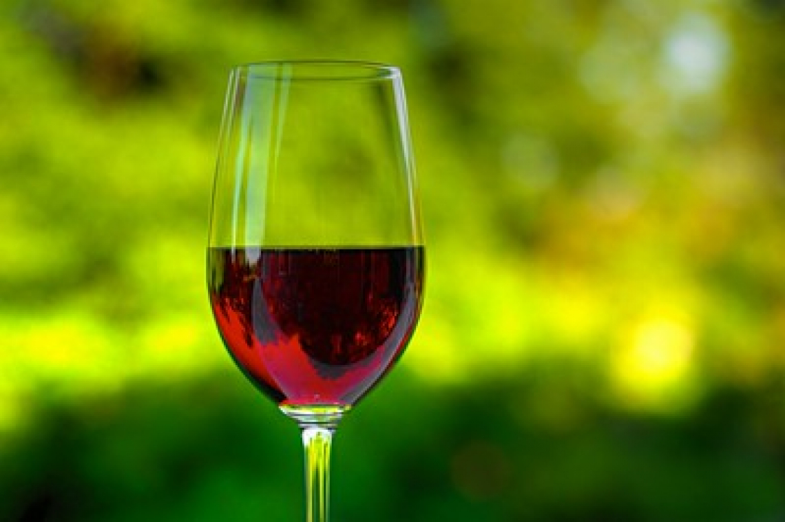 L’uso del DNA per l’identificazione varietale nel vino impossibile dopo filtrazione?