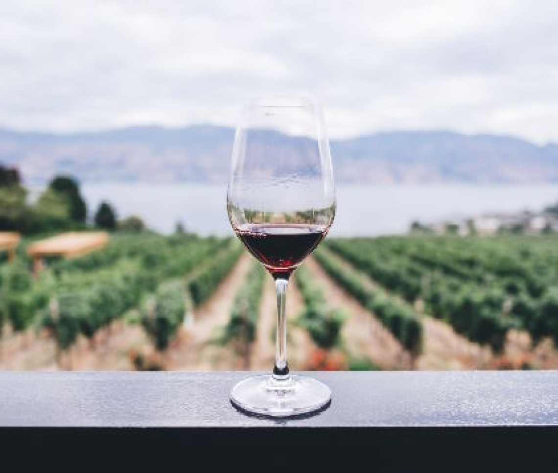 Mindful drinking: la nuova frontiera del vino