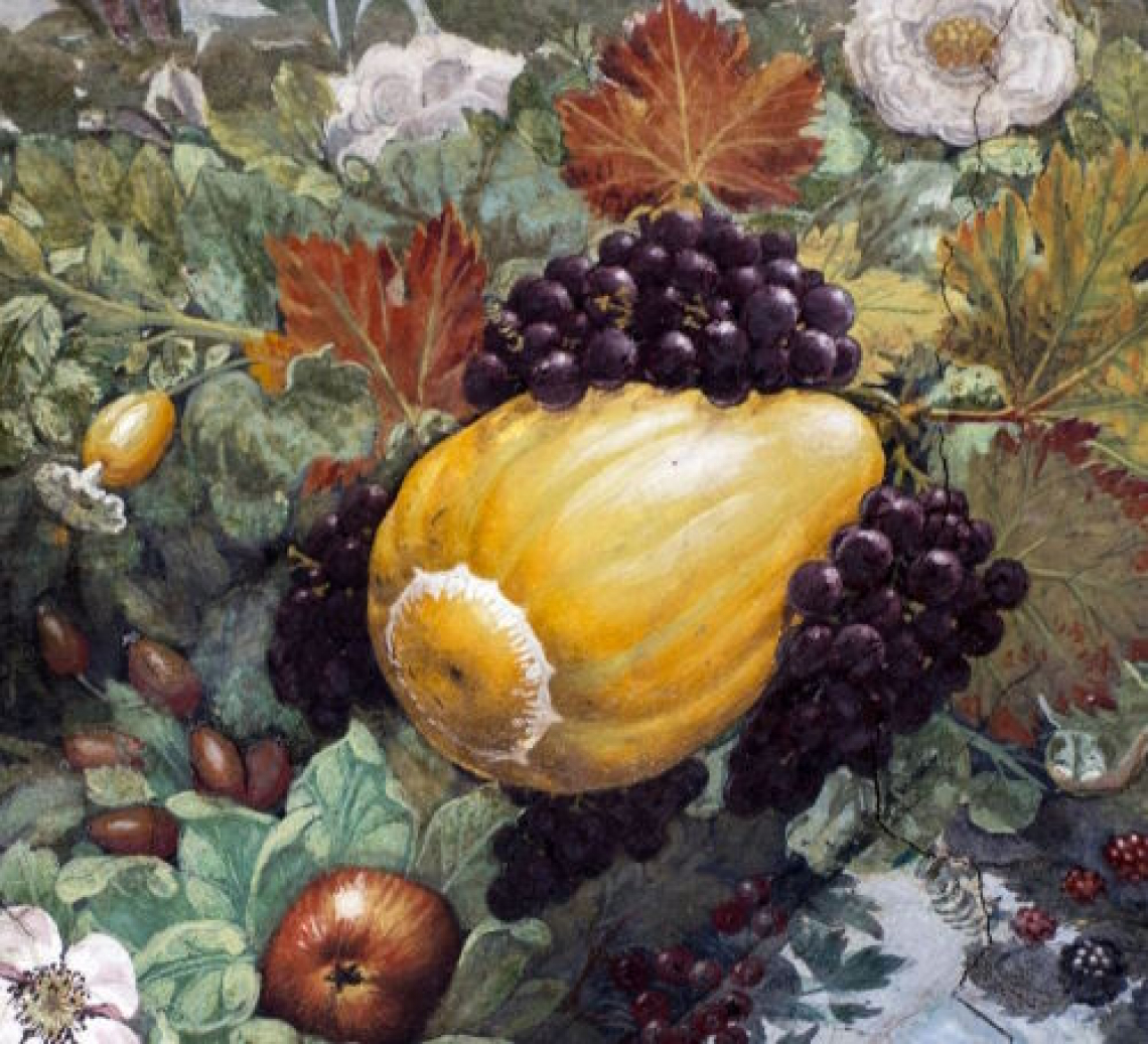La natura nell’arte: racconti di biodiversità vegetale ispirati ai festoni della loggia di Amore e Psiche di Villa Farnesina