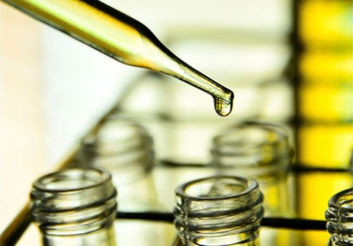 Olio di oliva sul podio delle irregolarità secondo il Rapporto 2023 della Repressione Frodi