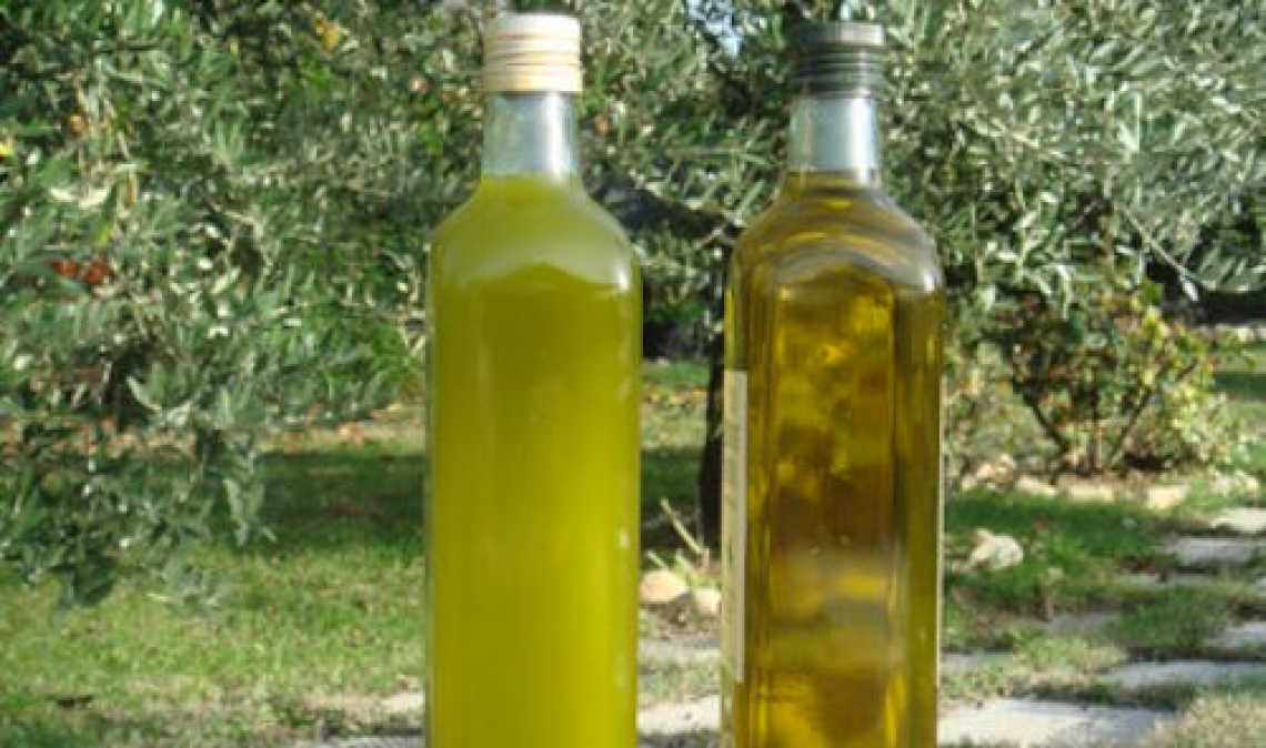 L'Umbria dell'olio di oliva protagonista al SOL
