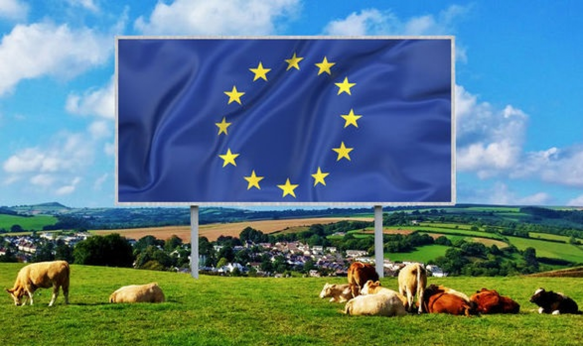 La revisione della Politica agricola comunitaria approvata dal Parlamento europeo