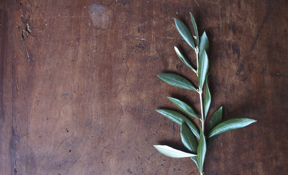 La relazione tra attività antiossidante e composti minerali delle foglie d'olivo