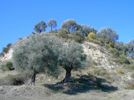 Foto di Jasna Pangerc