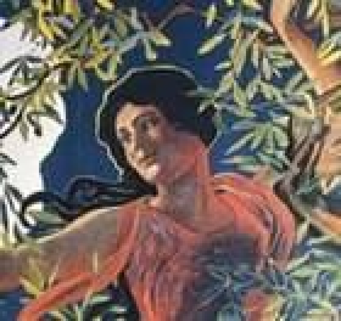 La leggerezza dell'olio