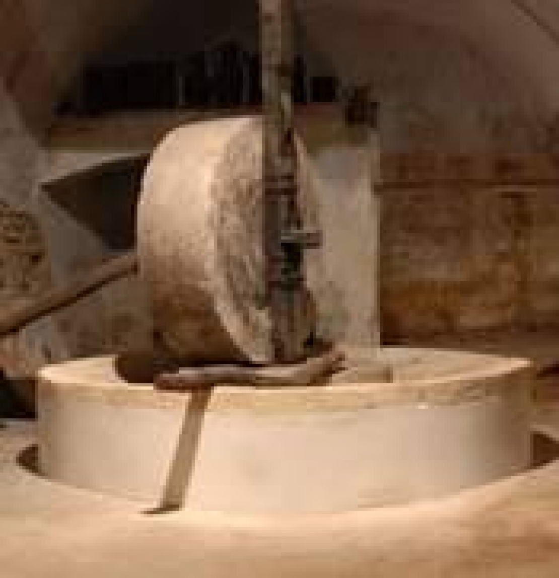 La grande bufala degli oli artigianali