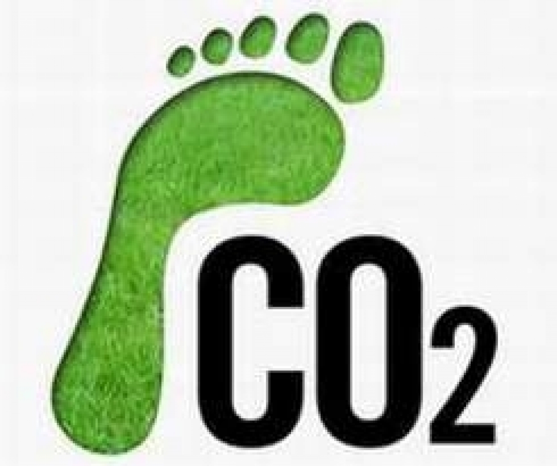 Produrre un litro di olio extra vergine d'oliva non è a impatto zero. Quanta CO2 viene allora emessa?