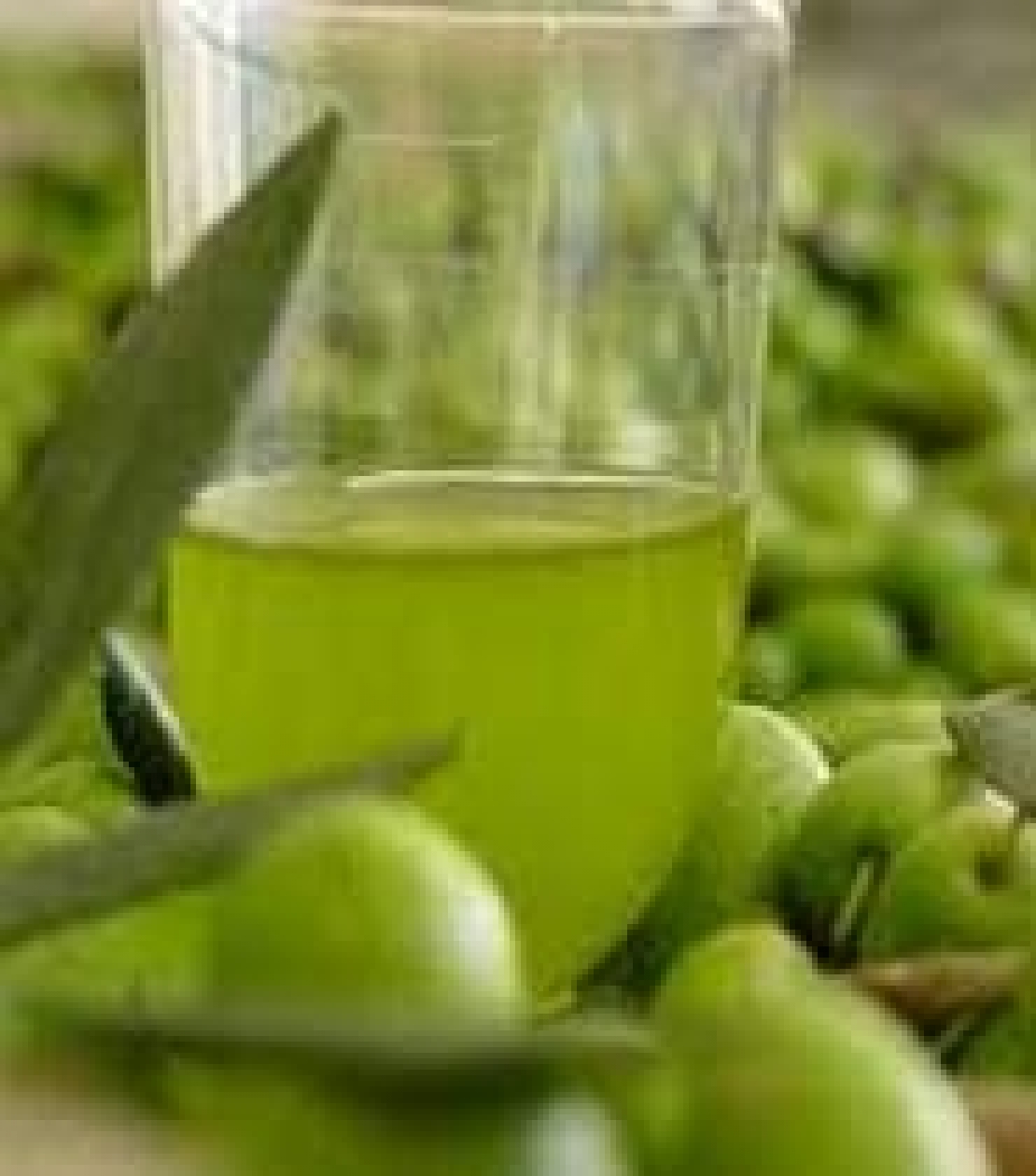 Troppo lunghe le analisi di laboratorio per l'olio d'oliva. Via libera a strumenti portatili?